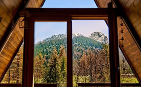 Domek i Apartamenty Ptyś Zakopane